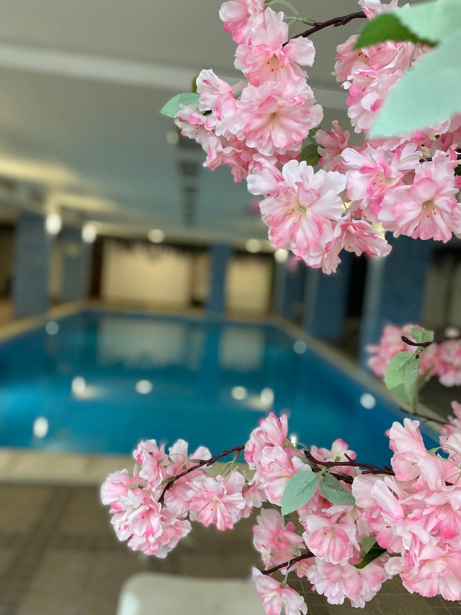 Complex Nero Apart otel Pamporovo Dış mekan fotoğraf